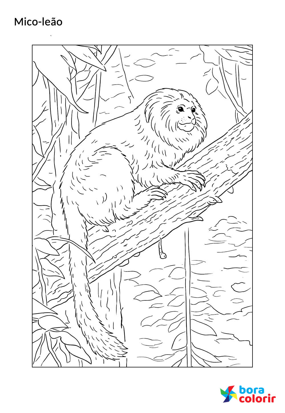 Desenho de Mico-leão