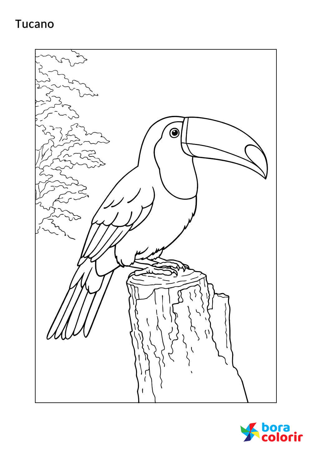 Desenho de Tucano - Animais da Floresta Amazônica