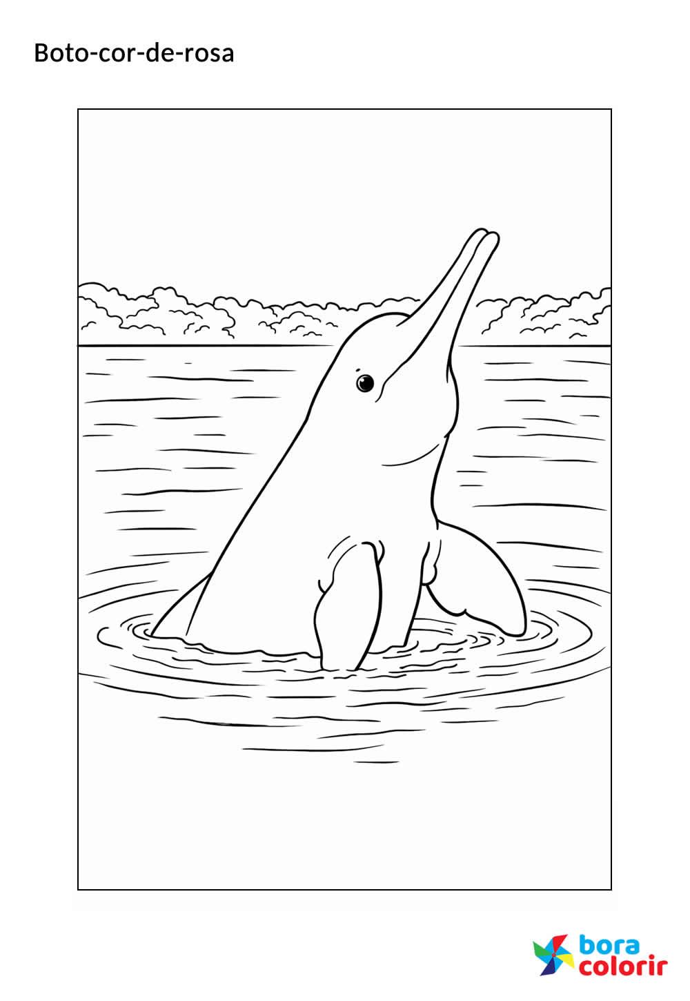 Desenho de Boto-cor-de-rosa
