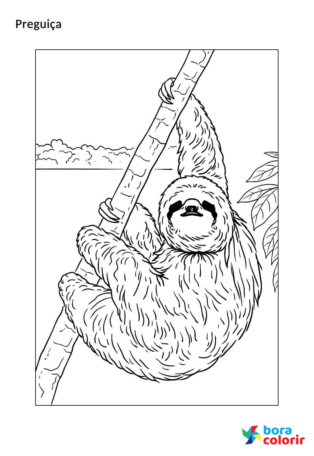 Desenho da Preguiça - Animais da Floresta Amazônica