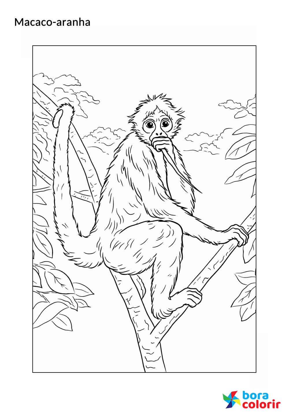 Desenho do Macaco-aranha - Animais da Floresta Amazônica