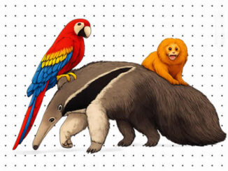 Desenhos de Animais da Floresta Amazônica para colorir