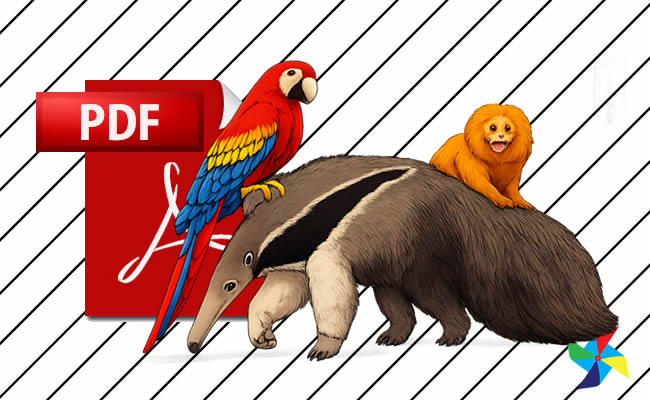 Desenhos de Animais da Floresta Amazônica em PDF
