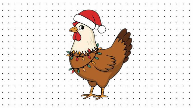 Desenhos de Galinha de Natal para colorir