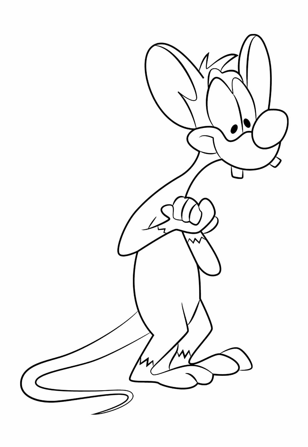 Desenho de Animaniacs para colorir