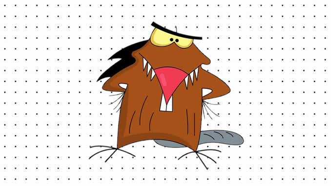 Desenhos de Os Castores Pirados para colorir