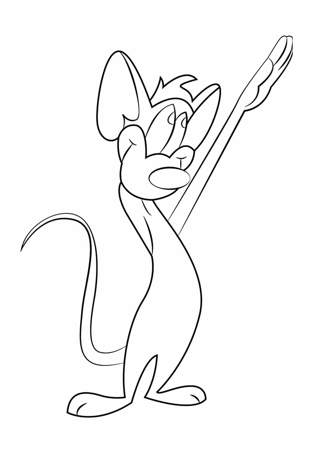 Desenho de Animaniacs