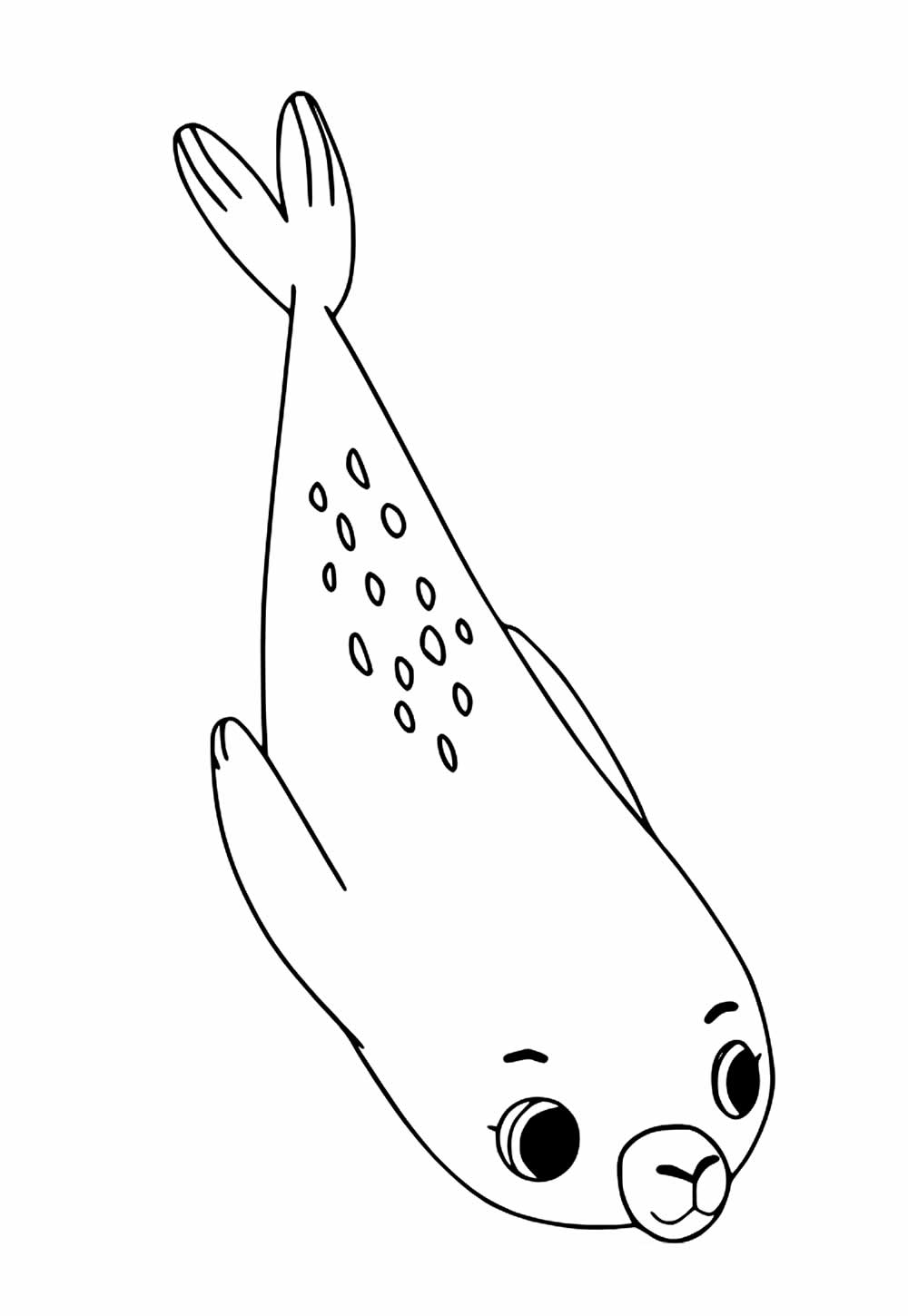 Puffin Rock para colorir