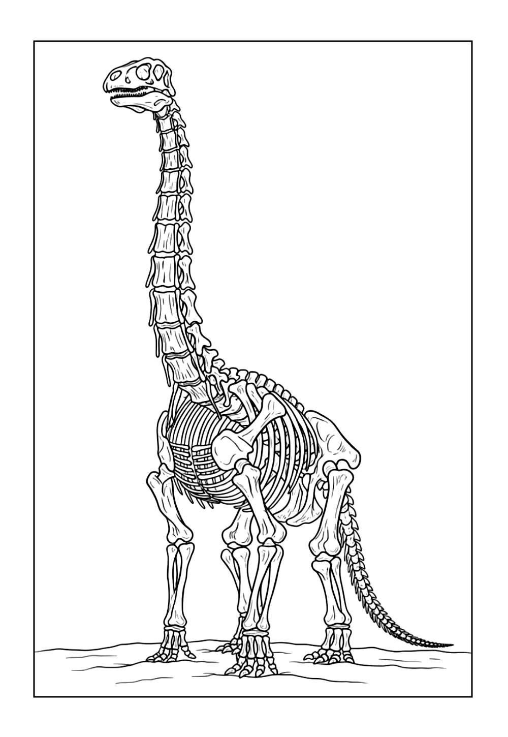 Desenho de Braquiossauro para colorir