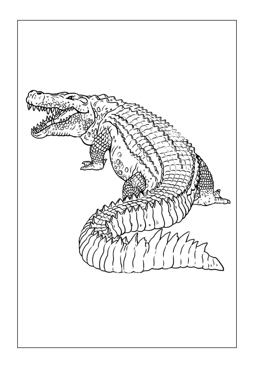 Desenhos de Deinosuchus