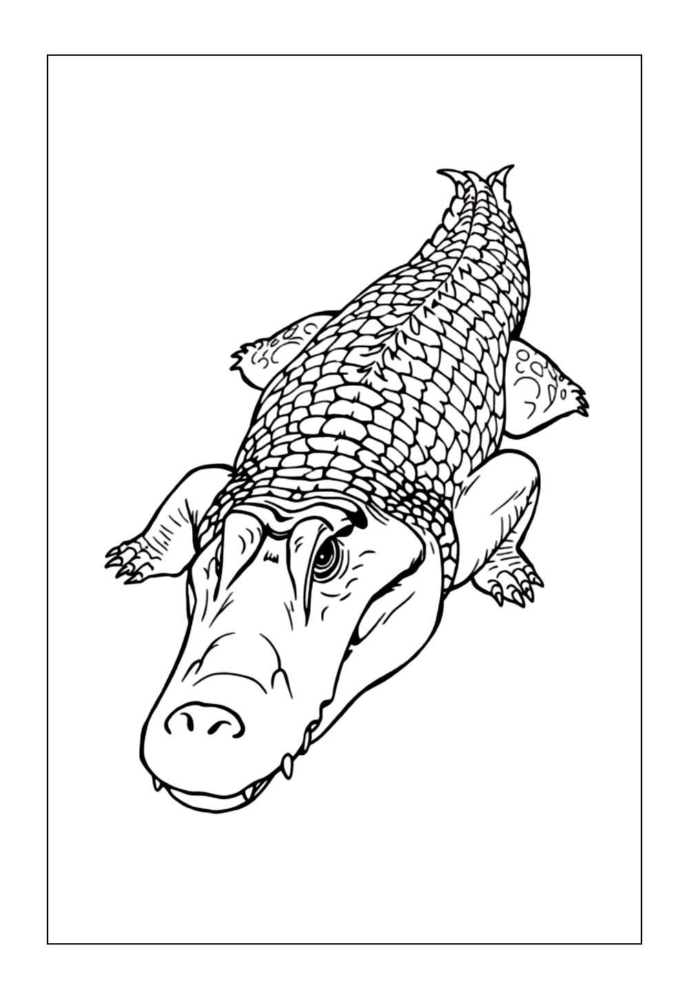 Desenhos de Deinosuchus para colorir