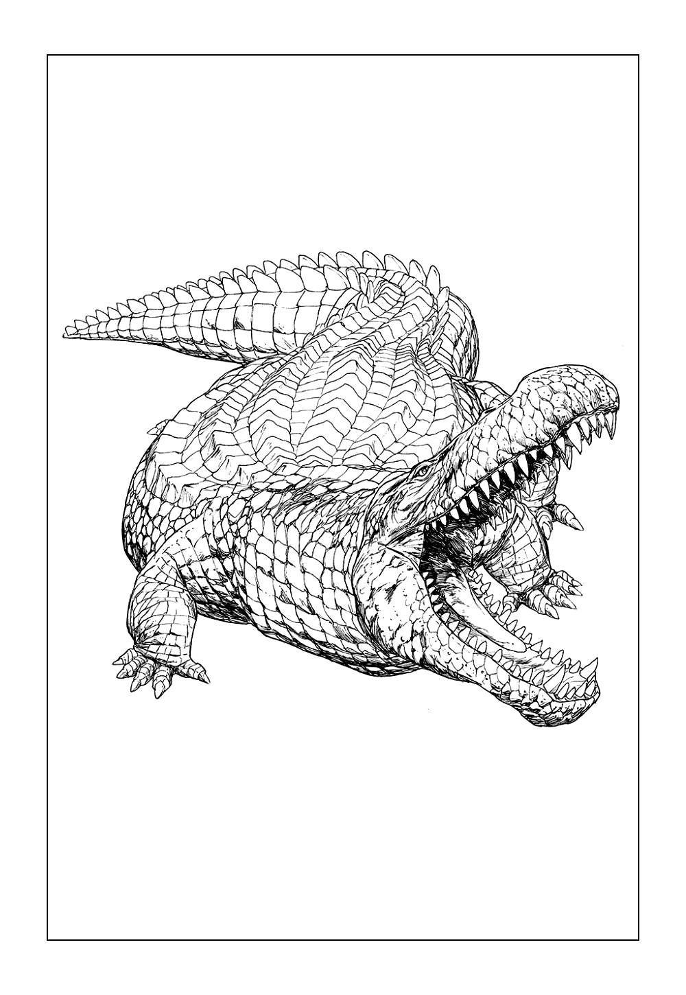 Desenhos de Deinosuchus para colorir e pintar