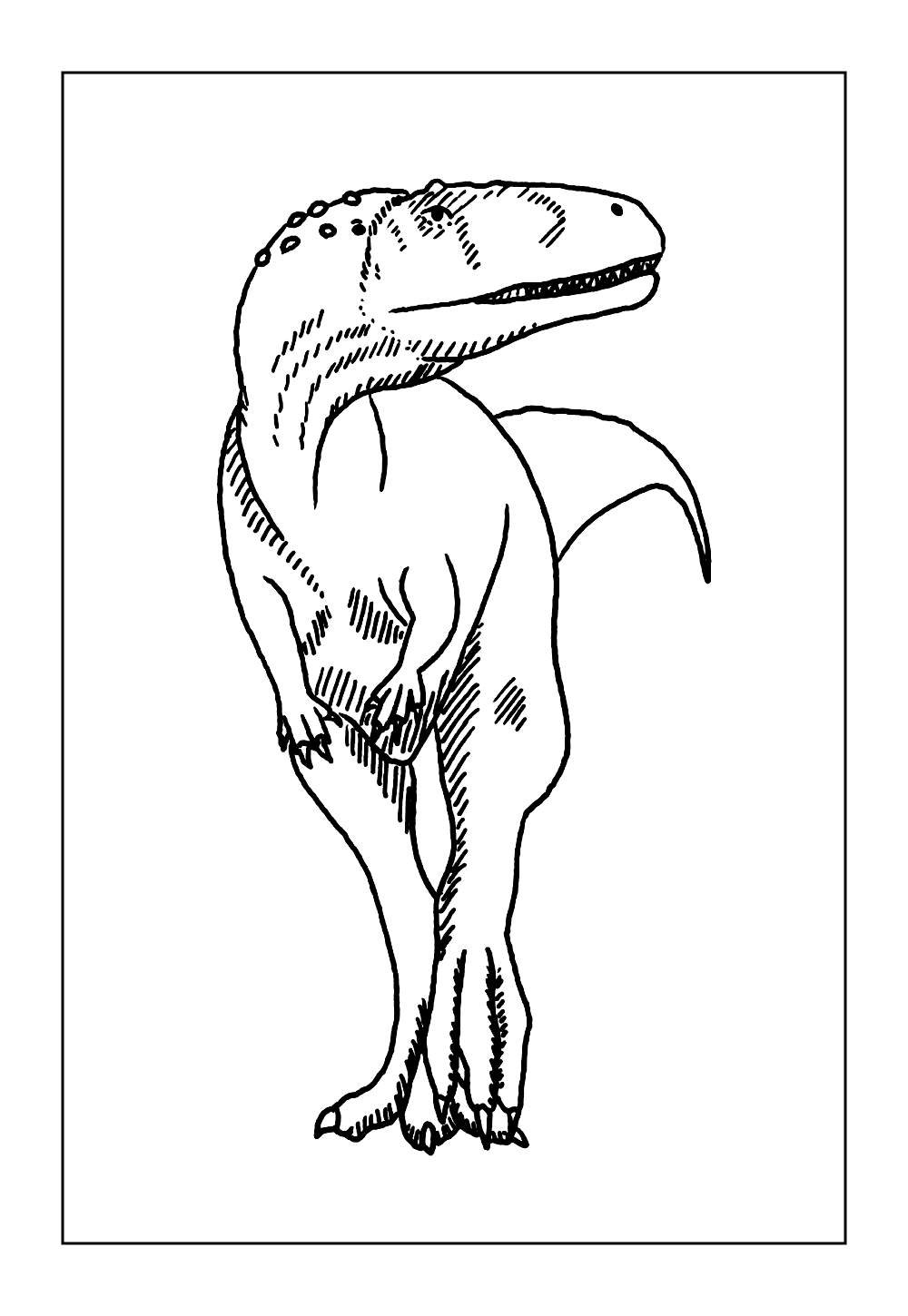 Desenho do Abelissauro para colorir